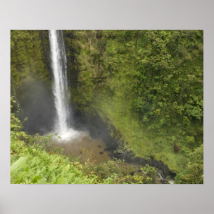 Poster Chutes Akaka, côte Hamakua, île d'Hawaï,