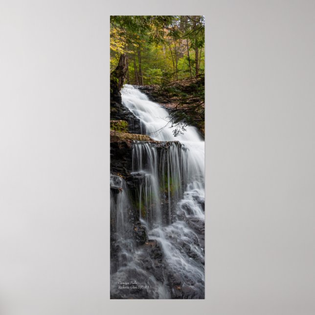 Poster Chutes de Ganoga 12 po x 36 po (Devant)