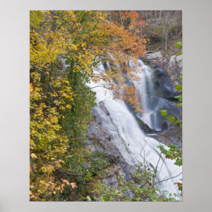 Poster Chutes de la rivière Bald