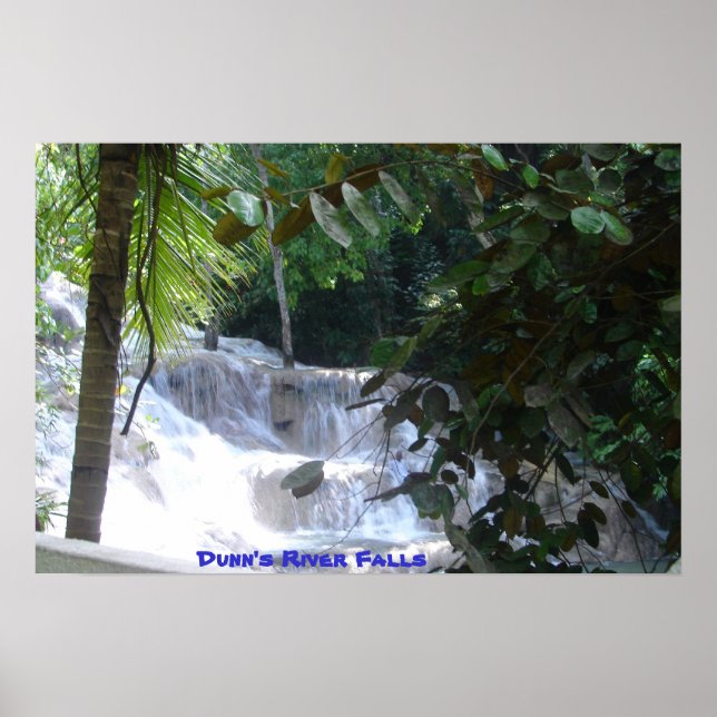 Poster Chutes de la rivière Dunn (Devant)