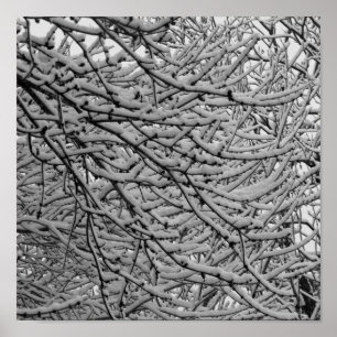 Poster Chutes de neige de Shreveport