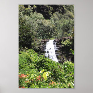 Poster Chutes de Waimea