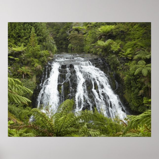 Poster Chutes d'Owharoa, Gorge de Karangahake, près de Pa (Devant)
