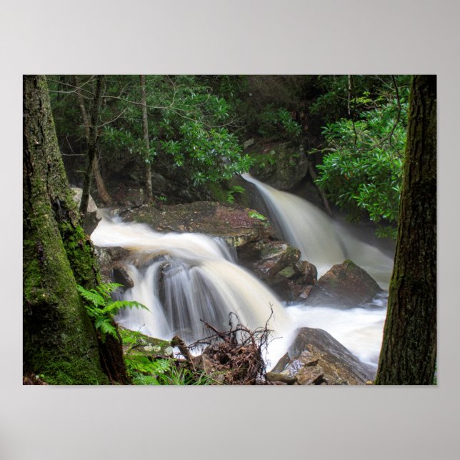 Poster Chutes du ruisseau Drakes (Devant)