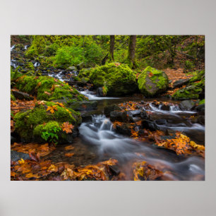 Poster Chutes du ruisseau Starvation   Columbia Gorge, Or