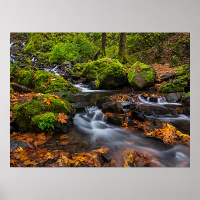 Poster Chutes du ruisseau Starvation | Columbia Gorge, Or (Devant)
