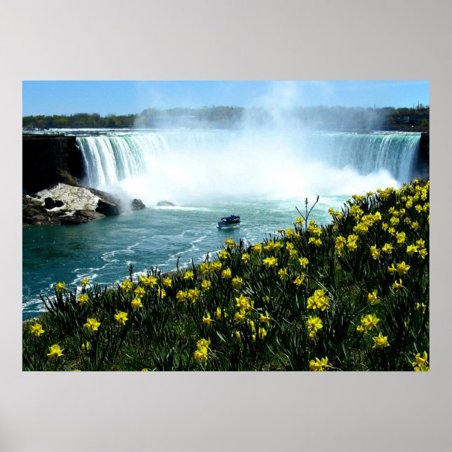 Poster Chutes Niagara (Devant)