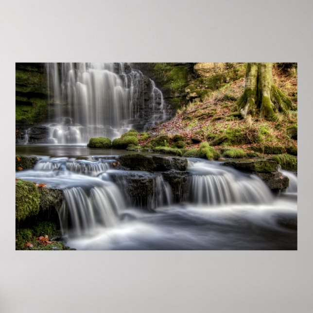 Poster Chutes Scaleber Force (Devant)