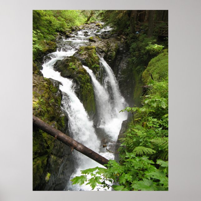 Poster Chutes Sol Duc (Devant)