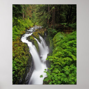 Poster Chutes Sol Duc dans le parc national Olympique en 