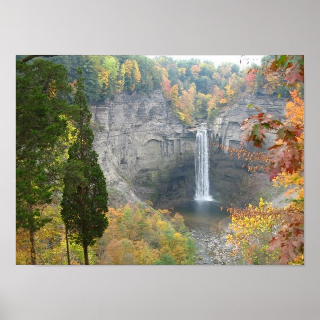 Poster Chutes Taughannock (Devant)
