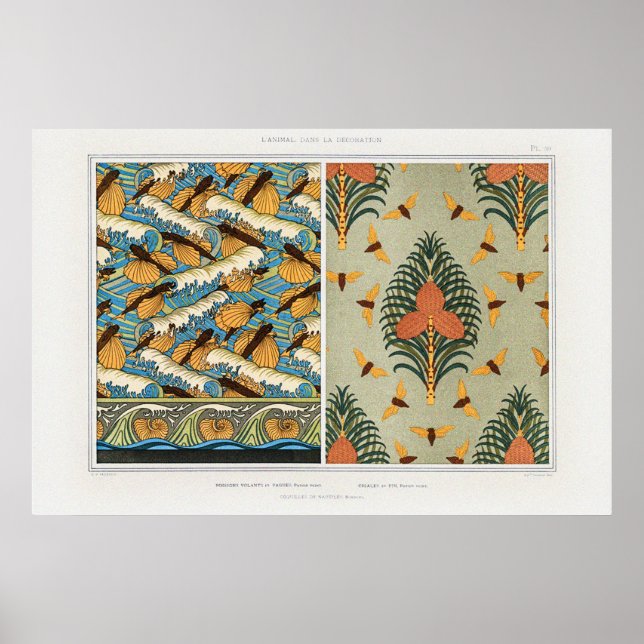 Poster Cicadas, poissons volants et coquilles de Nautilus (Devant)