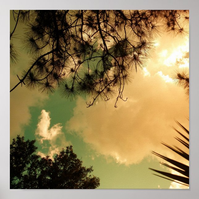 Poster Ciel (Devant)