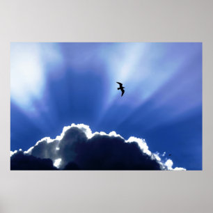 Poster Ciel