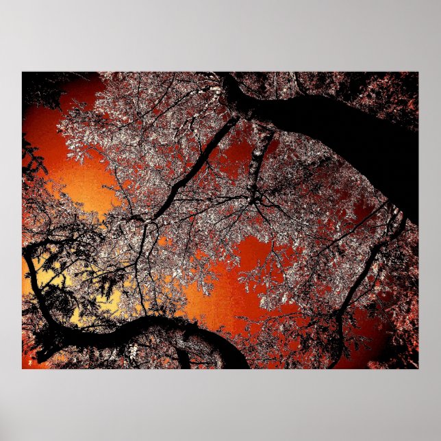 Poster Ciel asiatique (Devant)