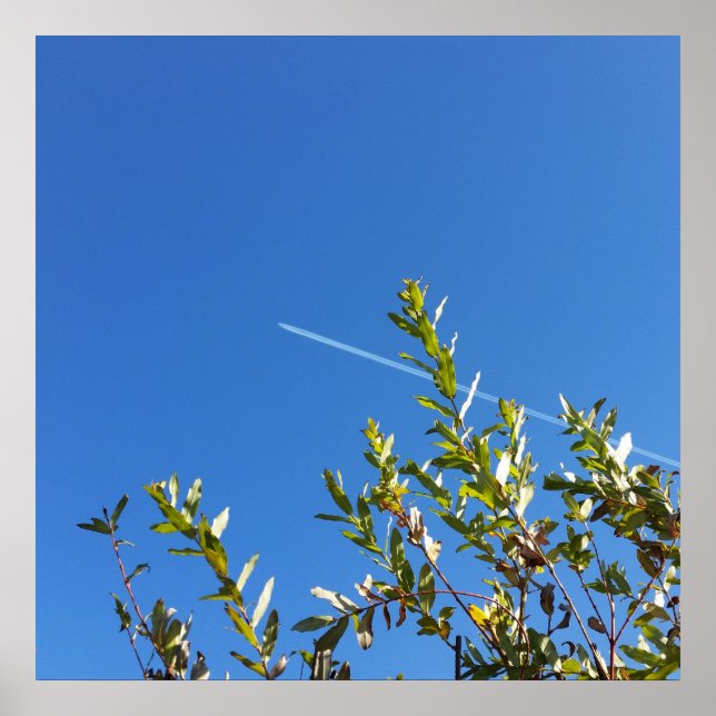 Poster ciel clair (Devant)