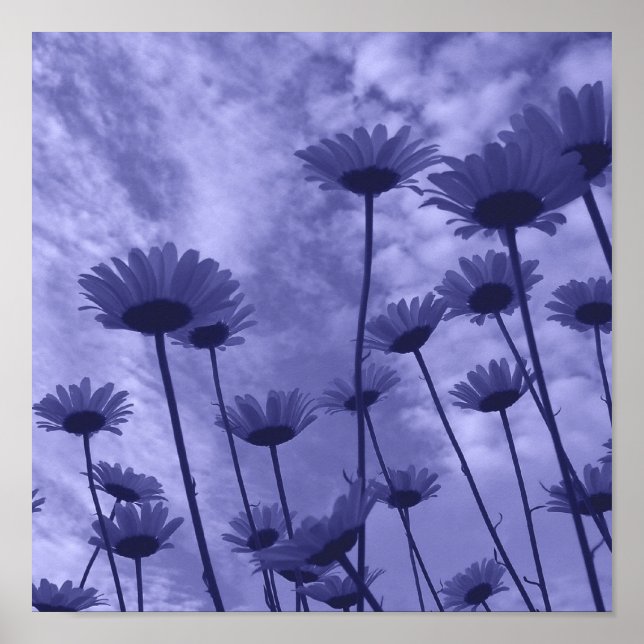Poster Ciel Gazers (Devant)