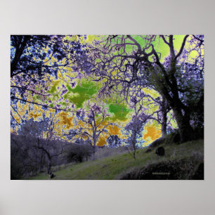 Poster ciel vert et jaune psychédélique