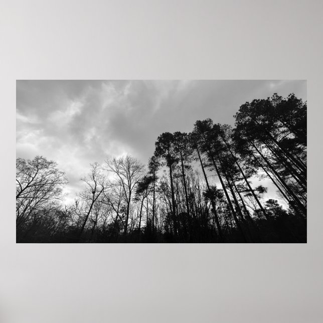 Poster Ciels nuageux, (Devant)