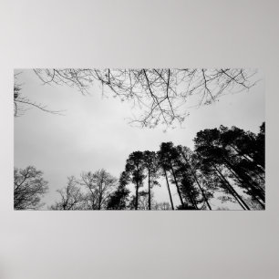 Poster Ciels nuageux,