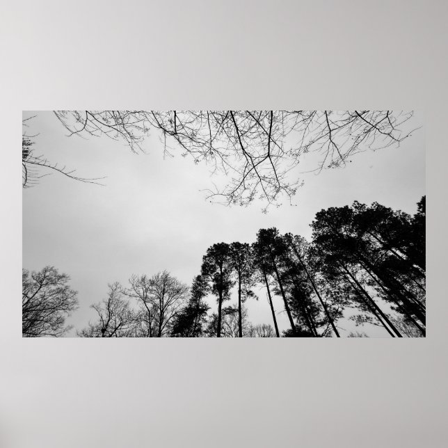 Poster Ciels nuageux, (Devant)