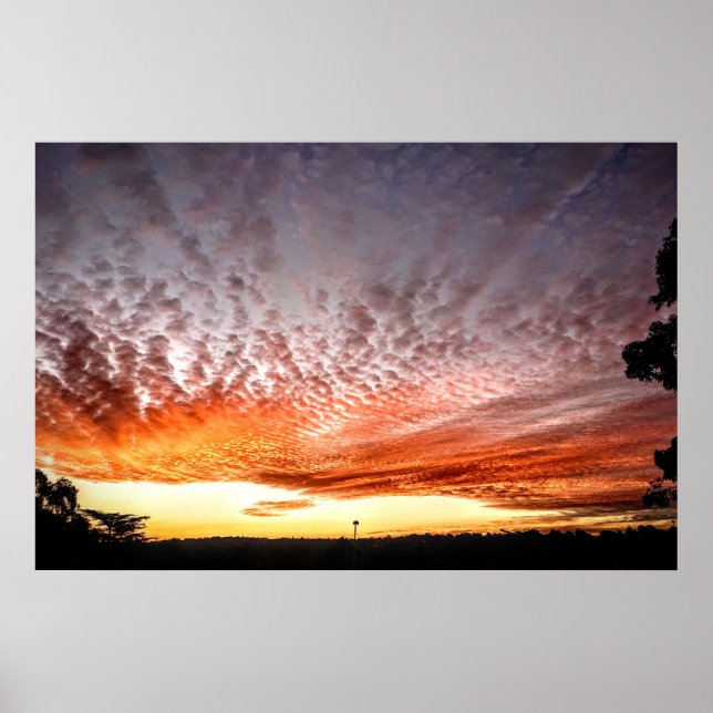 Poster Ciels orange (Devant)