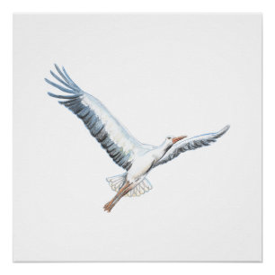 Poster cigogne blanche volant