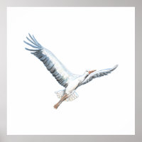 cigogne blanche volant