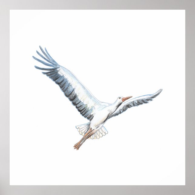 Poster cigogne blanche volant (Devant)