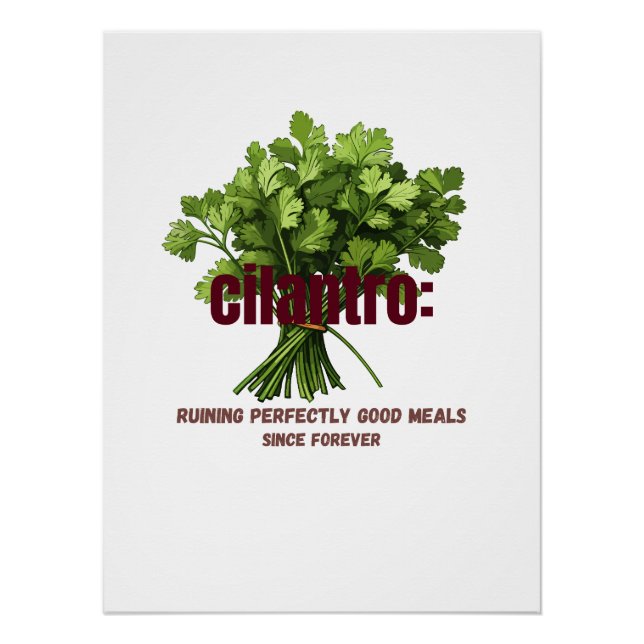 Poster Cilantro - Ruining Parfaitement Bon Repas (Devant)