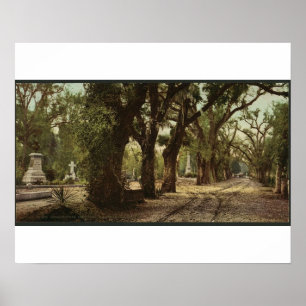Poster Cimetière Bonaventure, Savannah, Géorgie vers 1901