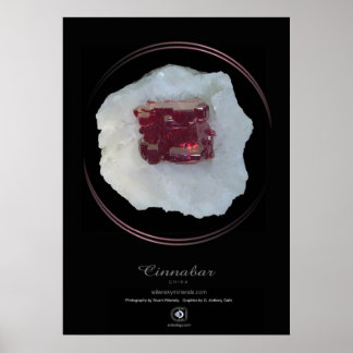 POSTER CINNABAR