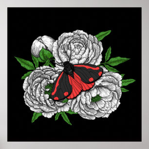 Poster Cinnabar moth