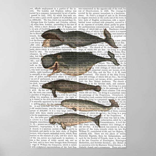 Poster Cinq baleines Vintages (Devant)