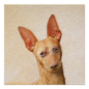 Poster Cirneco dell’Etna Peinture - Cute Original Chien A