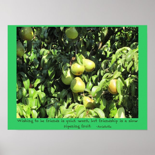 Poster Citation d'amitié d'Aristote (Devant)