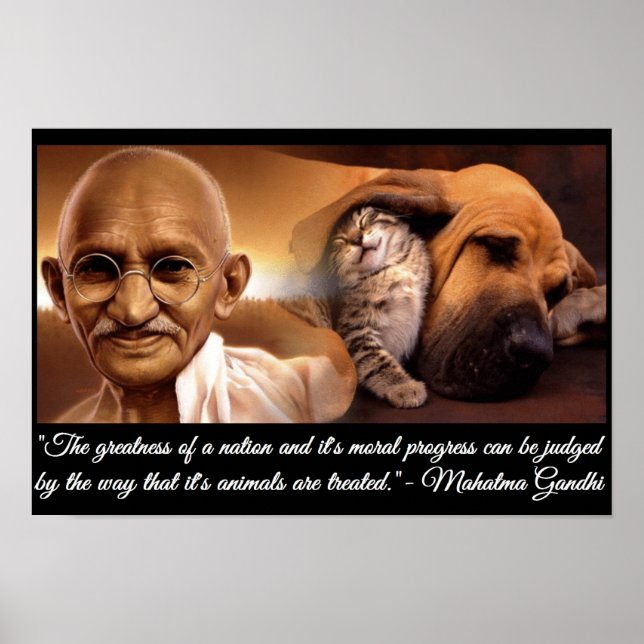 Poster Citation d'animal Ghandi (Devant)