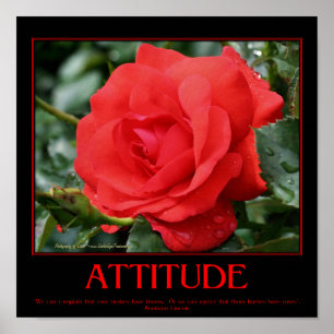 Poster Citation d'attitude inspirée de Red Roses Thorns