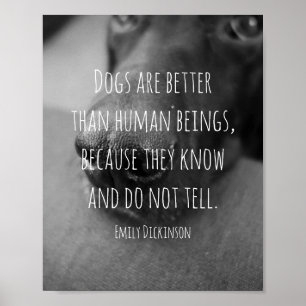Poster citation de chien par Emily Dickinson photo en noi