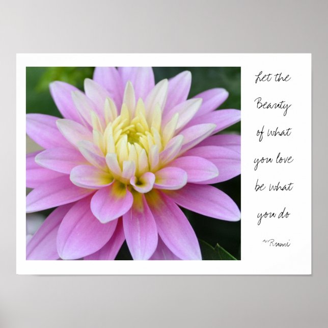 Poster Citation de Dahlia Rumi rose (Devant)