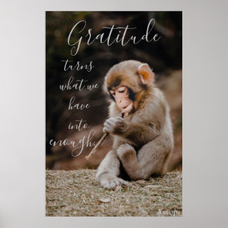 Poster Citation de Gratitude Aesop, singe