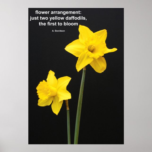 Poster Citation de jonquilles (Devant)