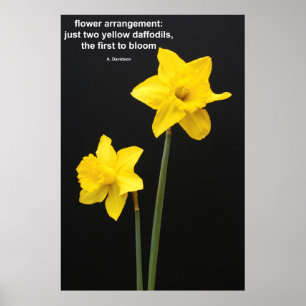 Poster Citation de jonquilles