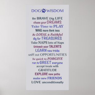 Poster Citation de la sagesse du chien
