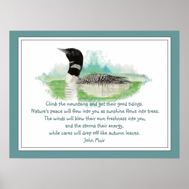 Poster Citation de Muir Nature, Aquarelle Loon Wilderness (Devant)