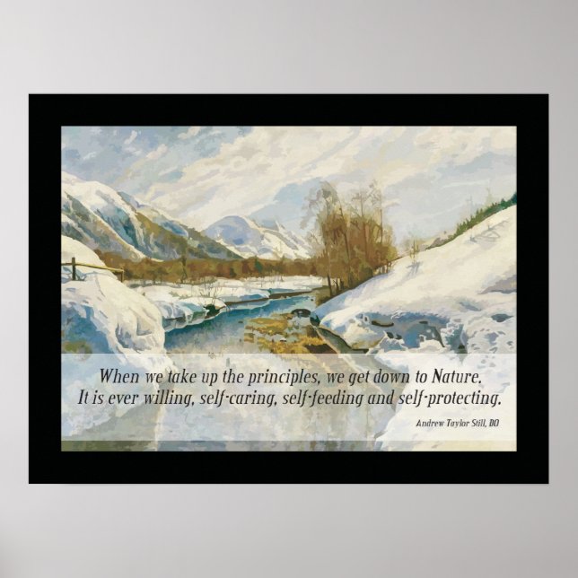 Poster Citation de nature ostéopathique par A.T. Still (Devant)