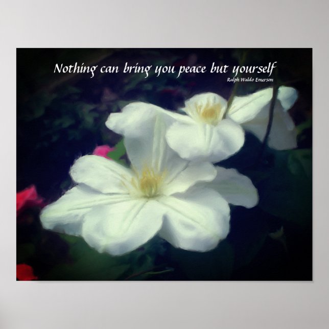 Poster Citation de paix Fleur Clematis Inspiration (Devant)