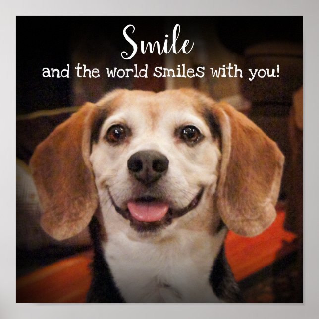 Poster Citation de sourire mignon chien Beagle photo sour (Devant)