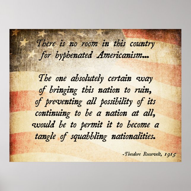 Poster Citation de Teddy Roosevelt (Devant)
