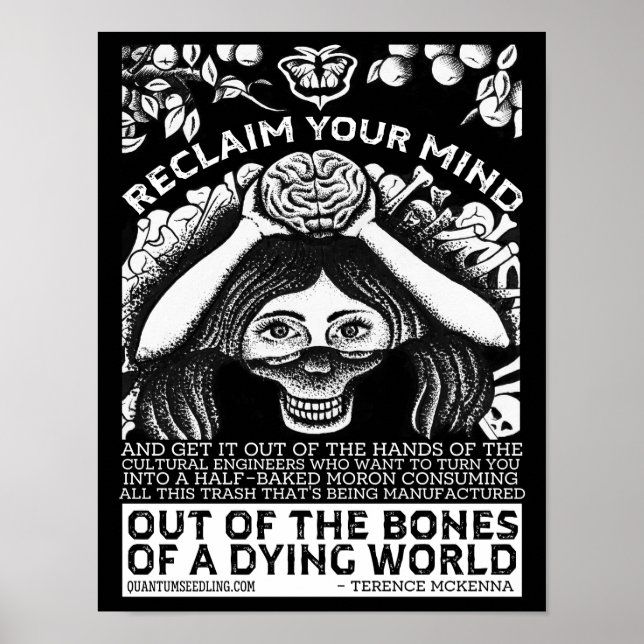 Poster Citation de Terence Mckenna - Réclamez votre espri (Devant)